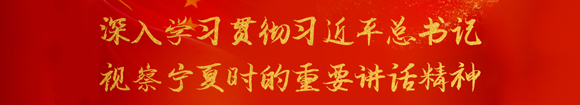 深入学习贯彻习近平总书记 视察宁夏时的重要讲话精神